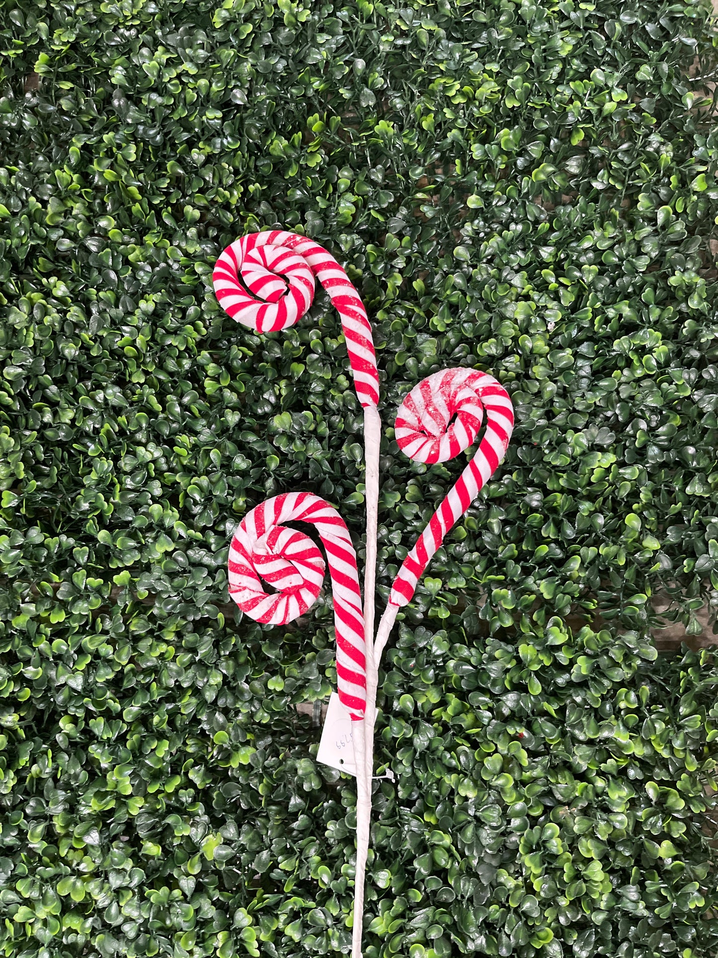 Red & White Curly Candy Spray