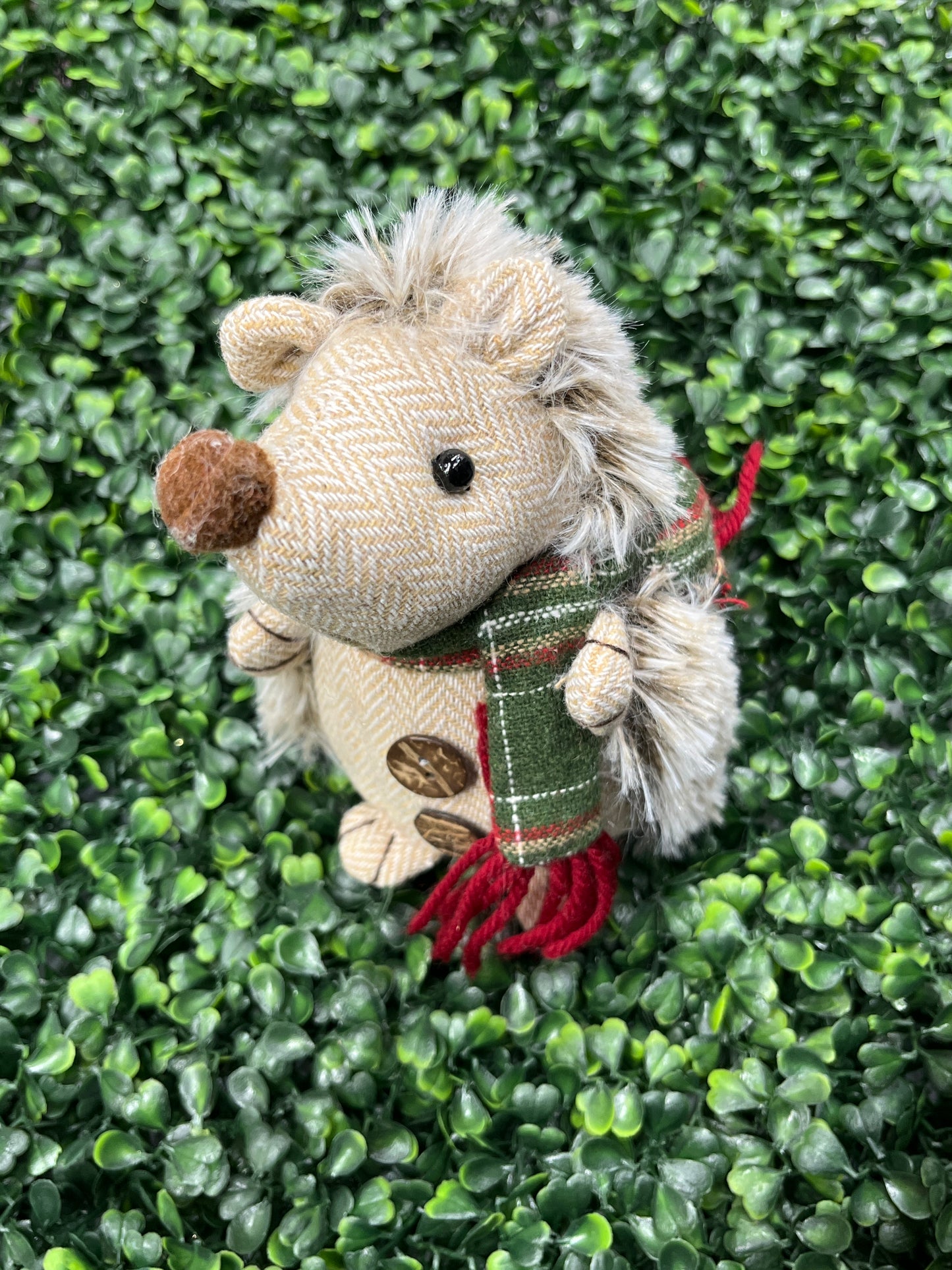 Wonderland Plush Hedgehog 2 Assorted Styles