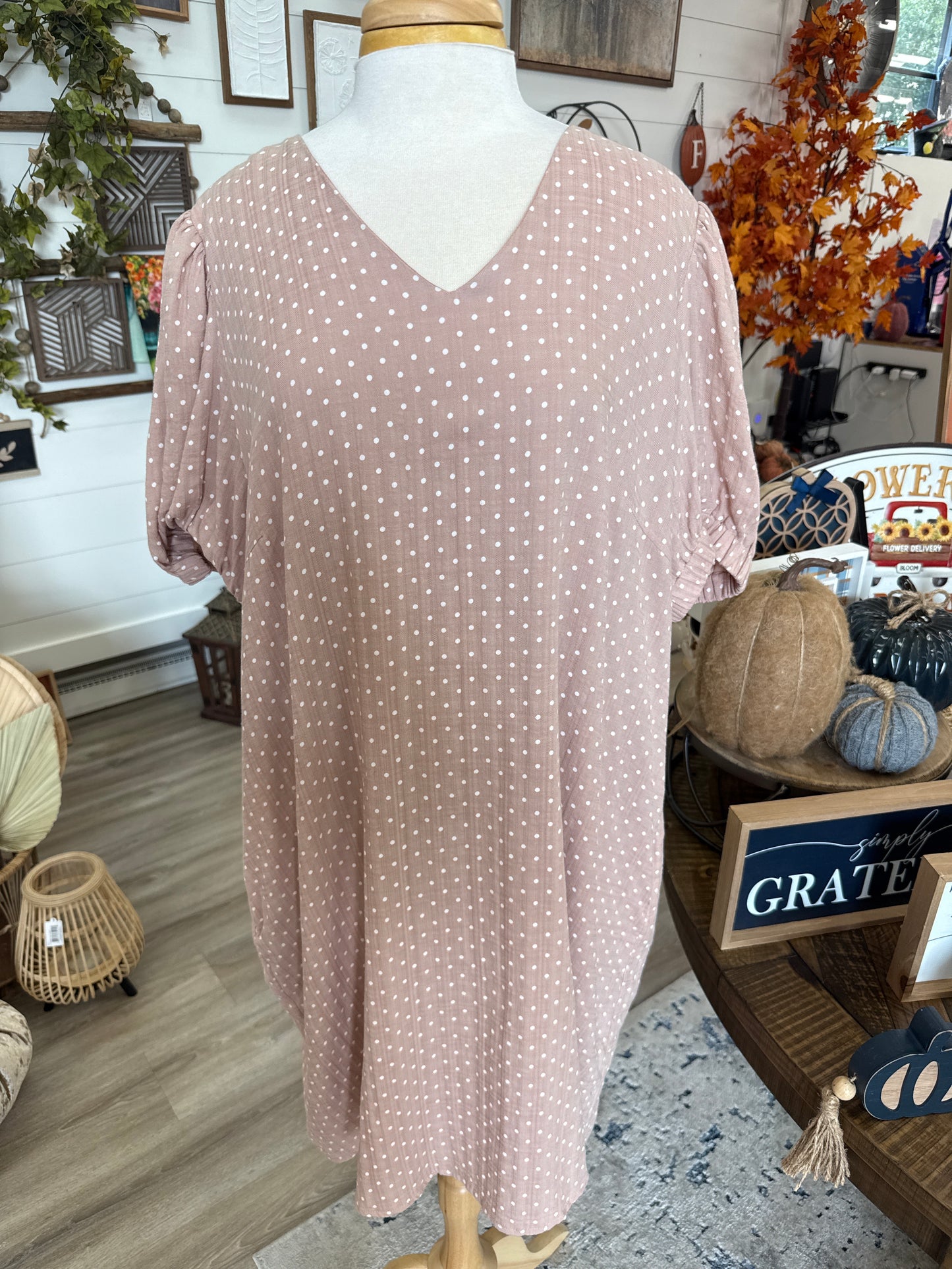 Blush Small Dot V Neck Dress (Plus Size)