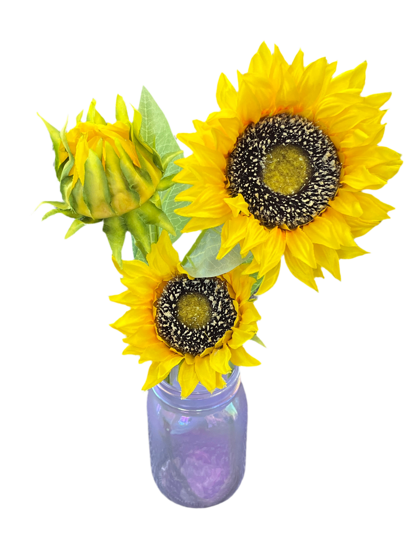 Sunflower Stem
