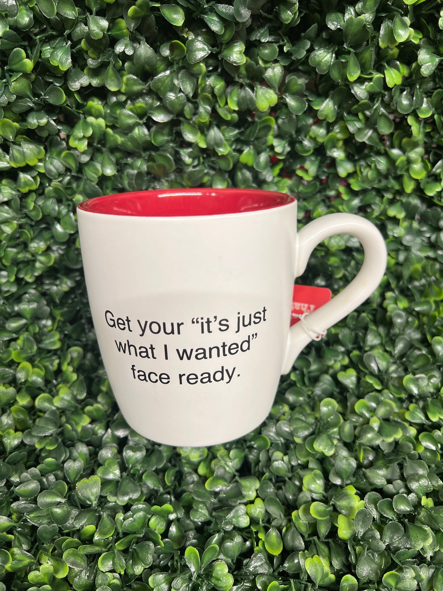 It's Just What I Wanted Mug