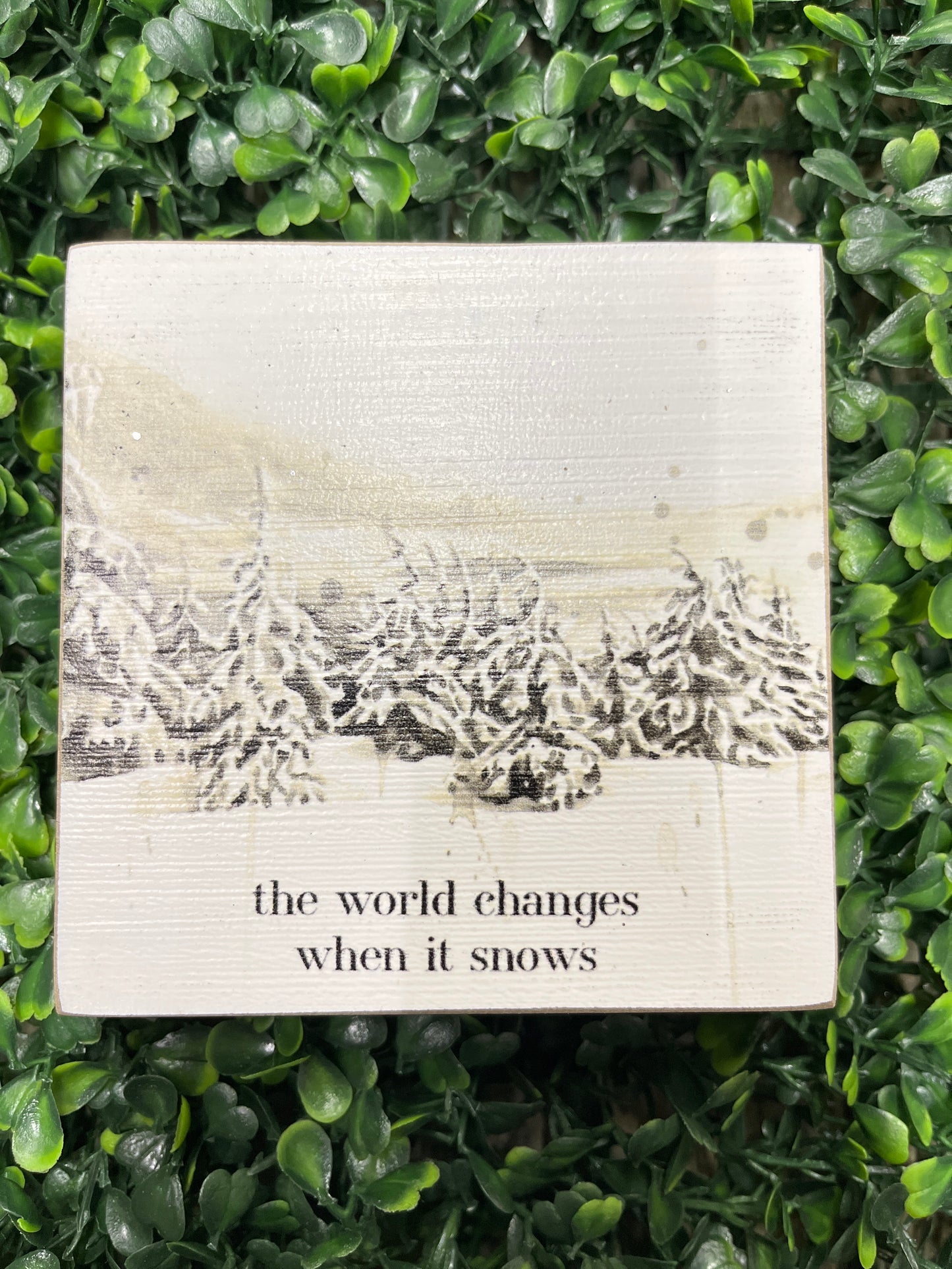 World Changes When It Snows Wood Block