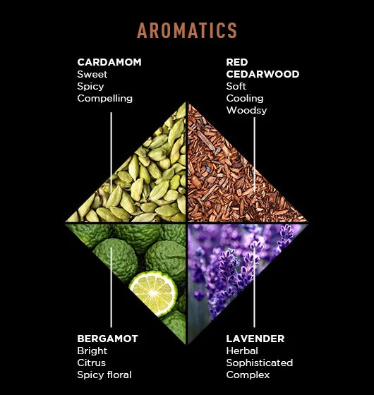 Jack Black Black Reserve™ Body Collection