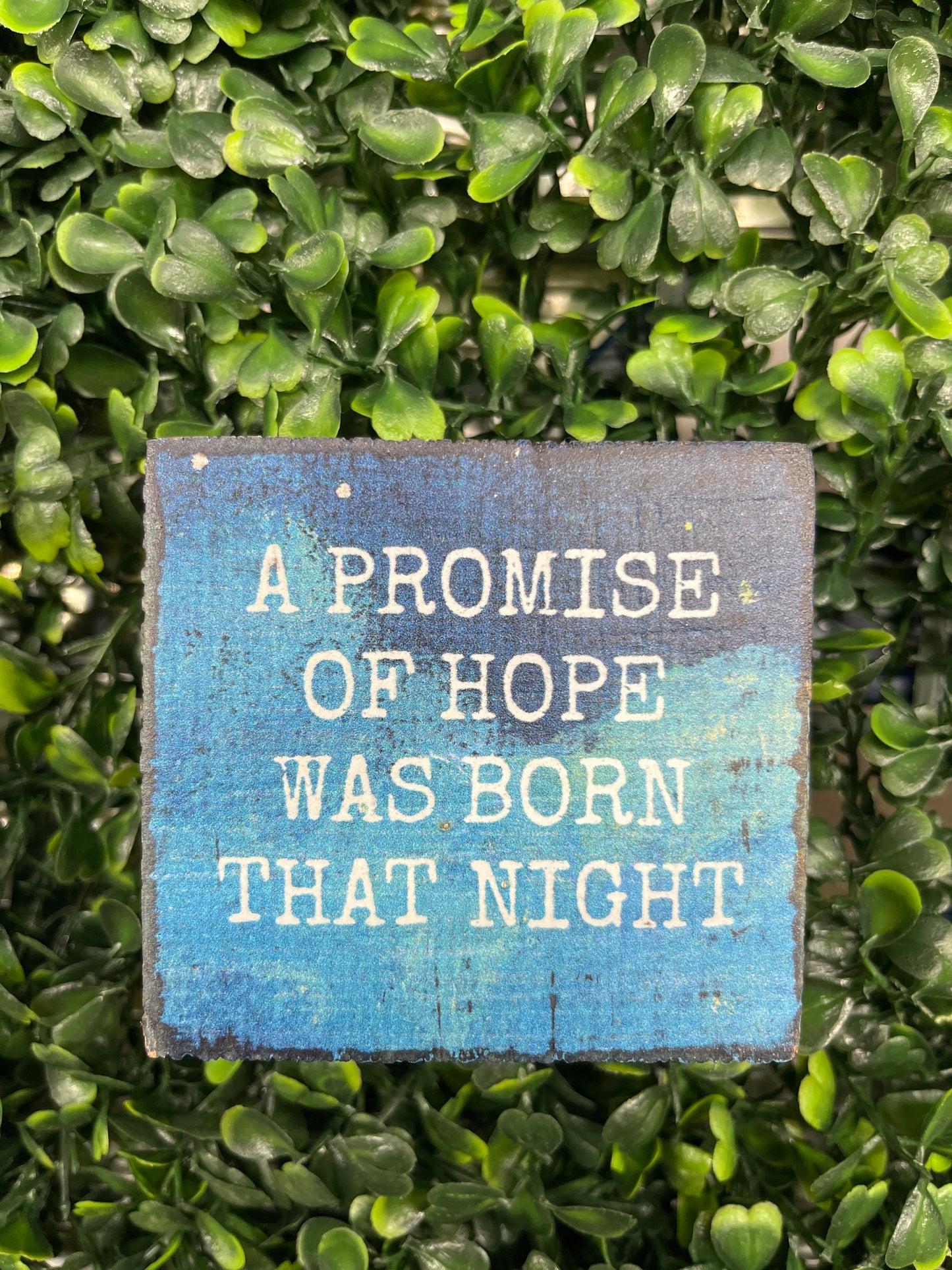 Promise Of Hope Small Wood Block Sign