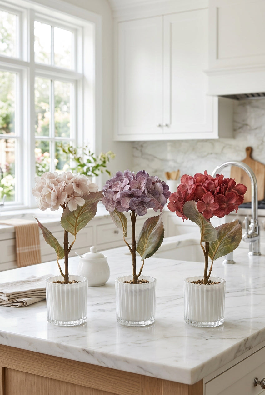 Tabletop Potted Hydrangea