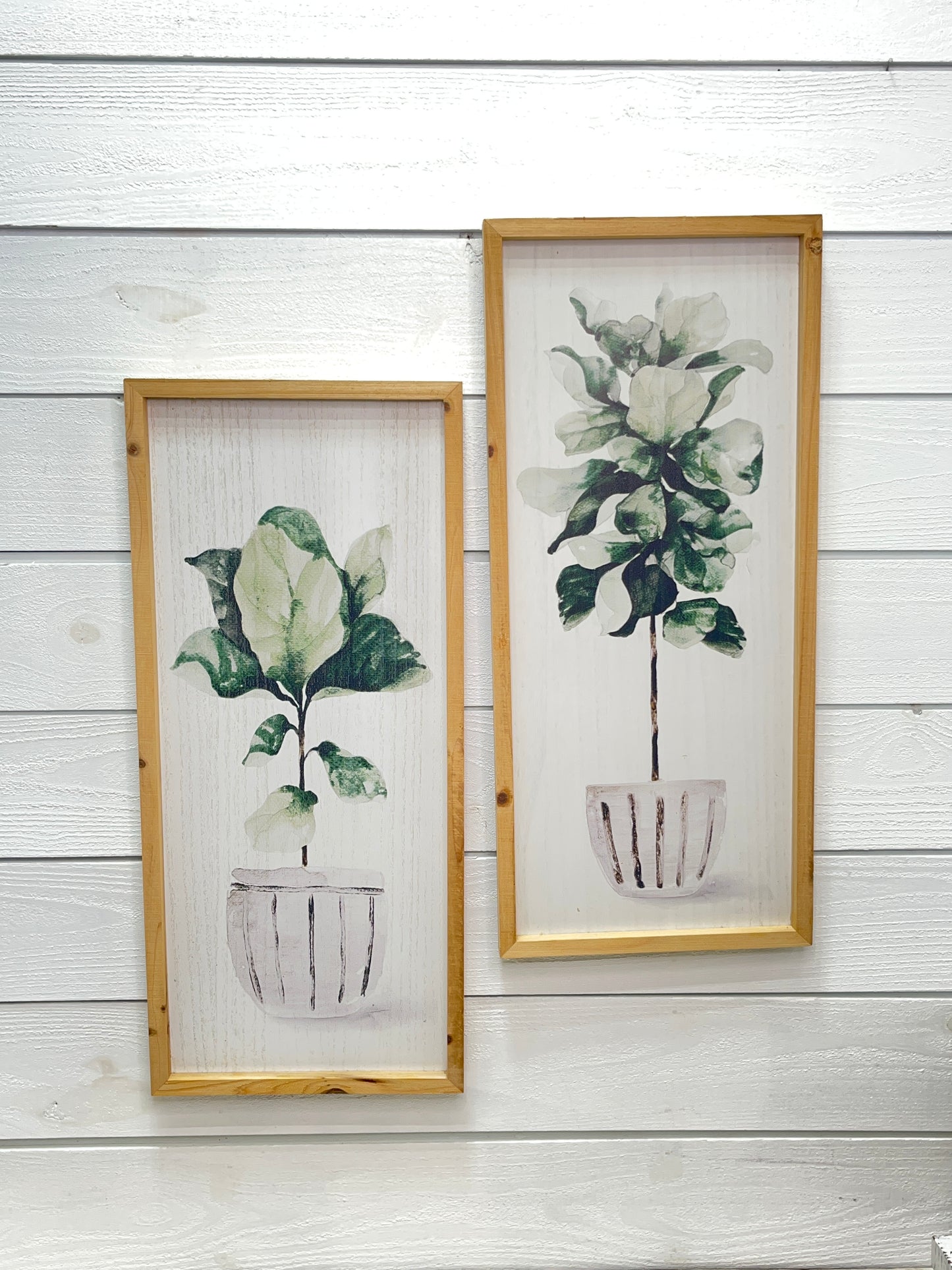 Wood Framed Botanical Topiary Picture