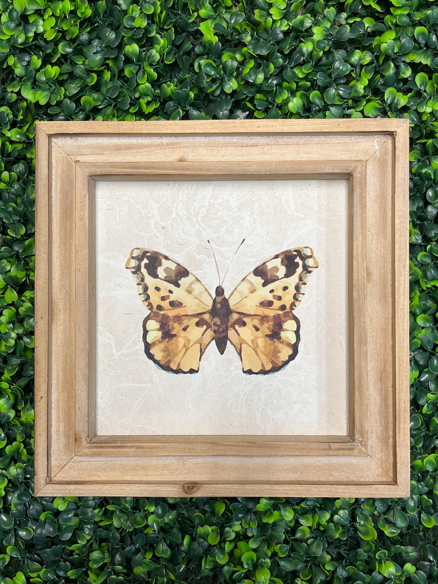 Brown Square Framed Butterfly Art Print