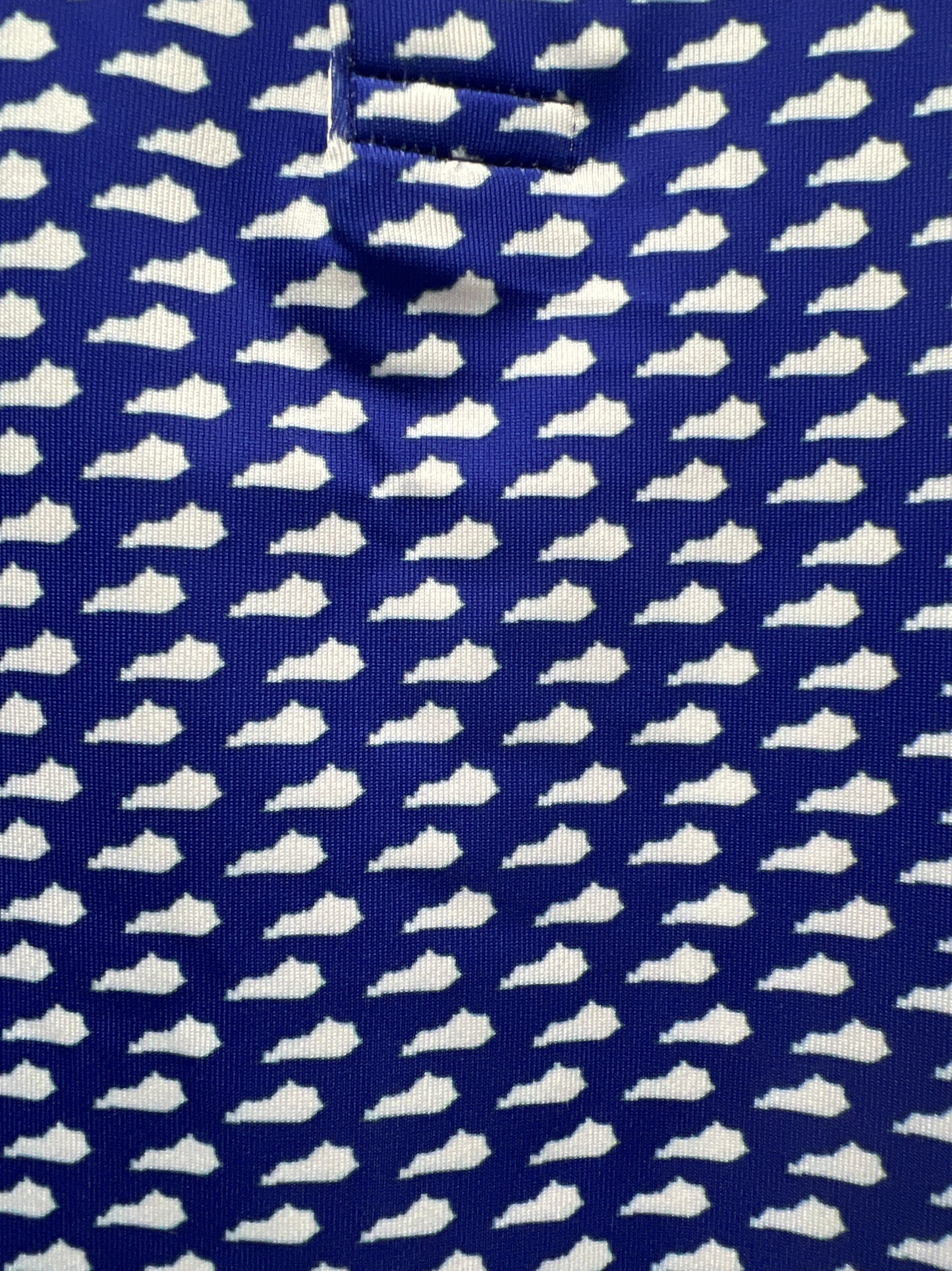 Blue & White Kentucky State Polo