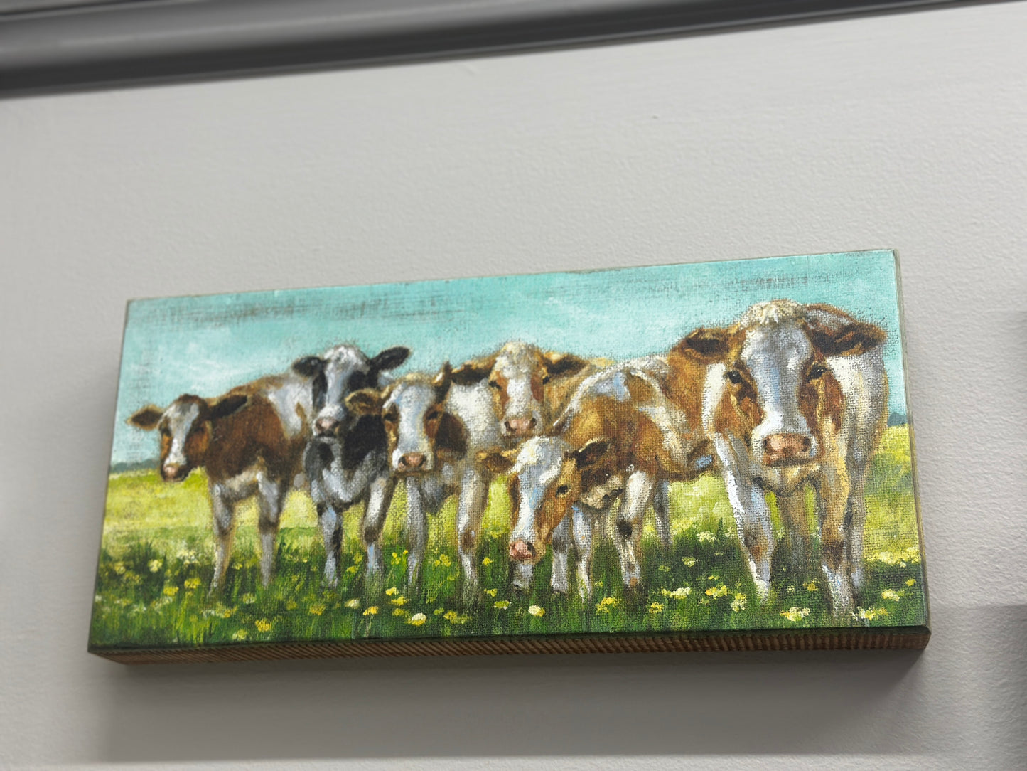 Cows In A Row Box Picture