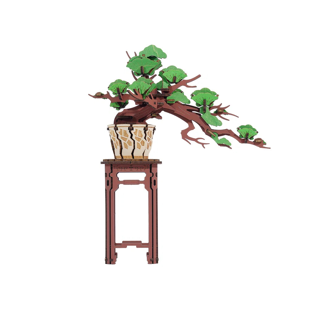 Evergreen Pine Bonsai 3D DIY Puzzle
