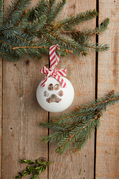 Mud Pie Pet Christmas Paw Print Ornament Kit