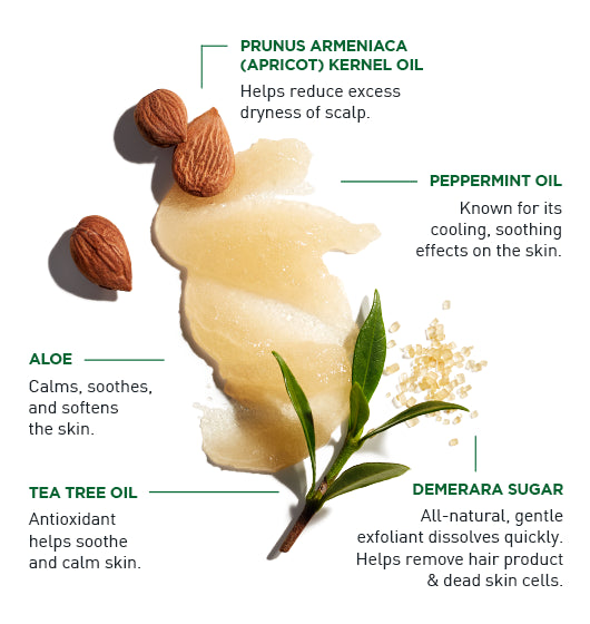 Jack Black Exfoliating Scalp Scrub + Shampoo