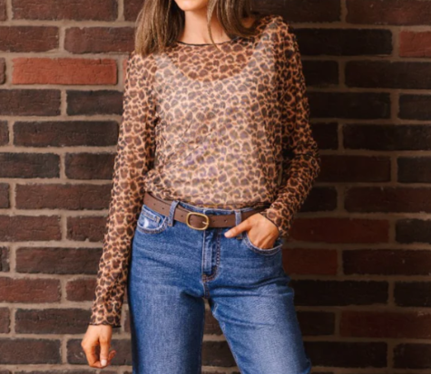 Southern Grace Mesh Long-sleeve Top- Leopard