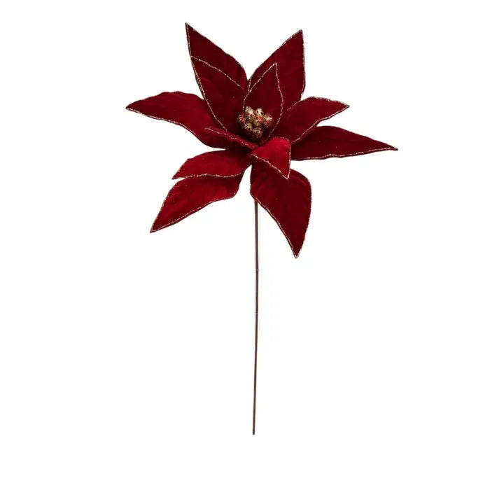 Deep Red Royal Velvet Gold Edge Poinsettia Stem 26”