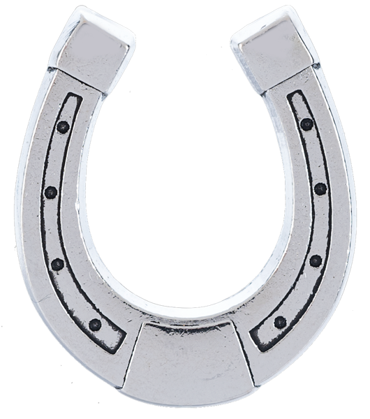 The Lucky Little Horseshoe Trinket Charm