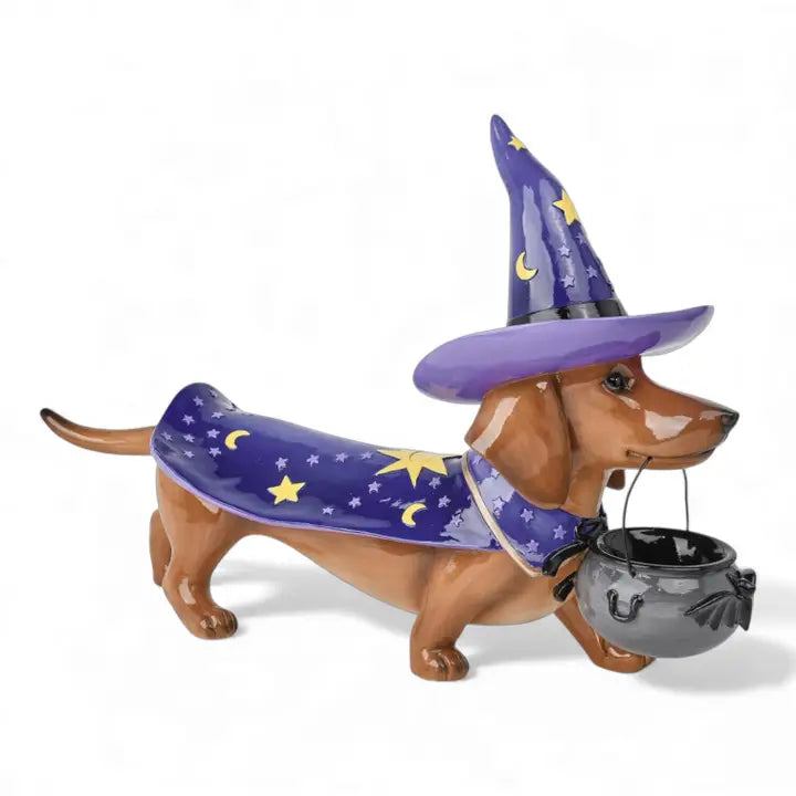 22in Wizard Dachshund