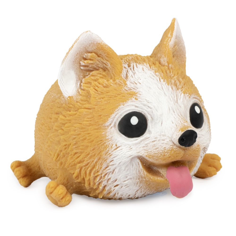 Squidgy Pooch