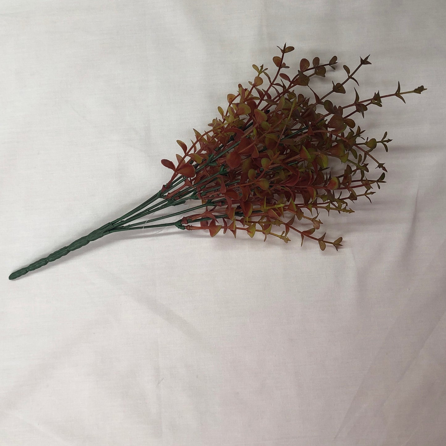 Eucalyptus Pick Lt Green/Red