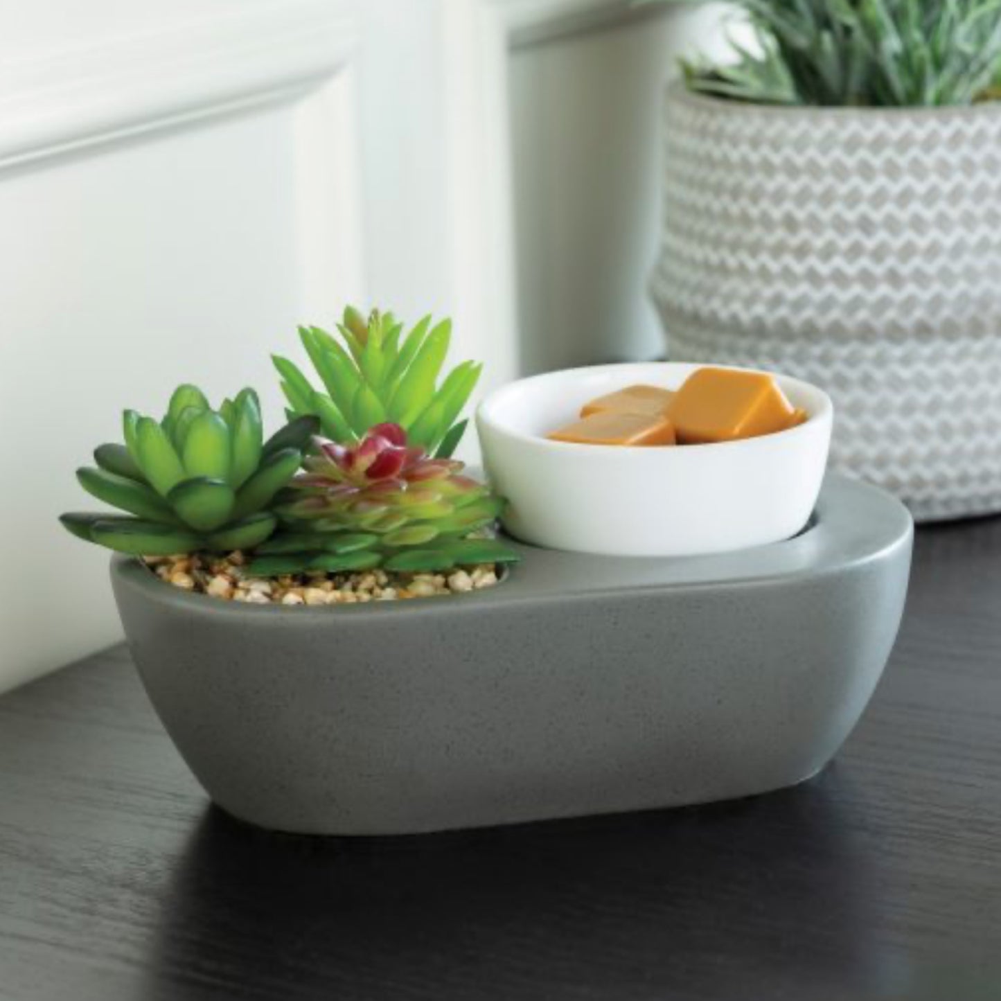 Succulent Artscents Wax Warmer