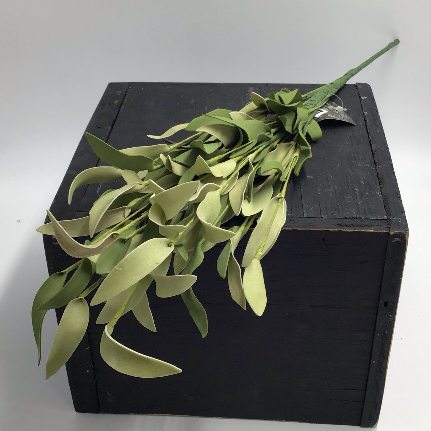 Twisted Myrtle Spray Stem