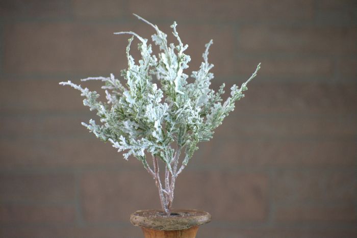 11 Inch Frosted Cedar Pick