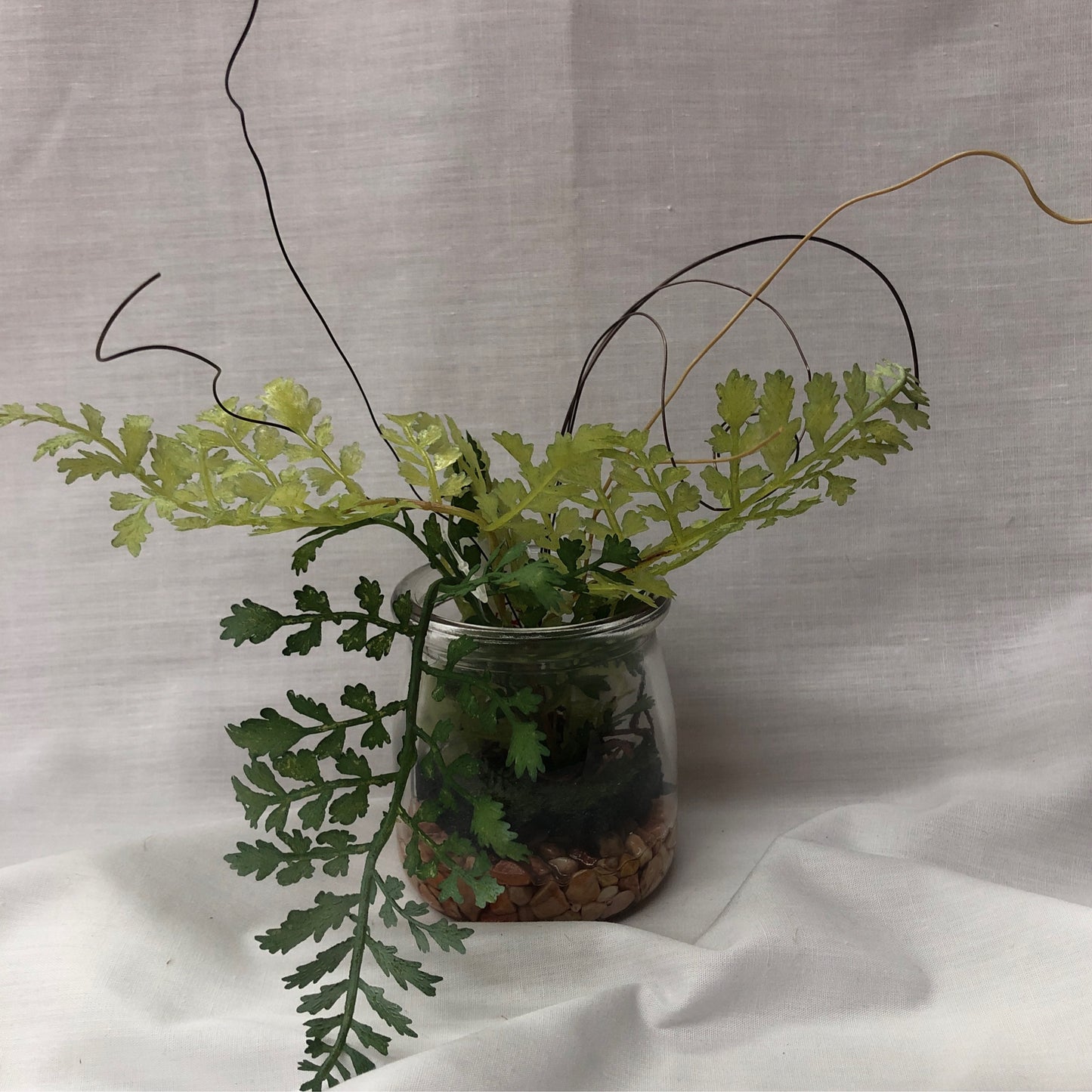 Maidenhair Fern In Glass Jar