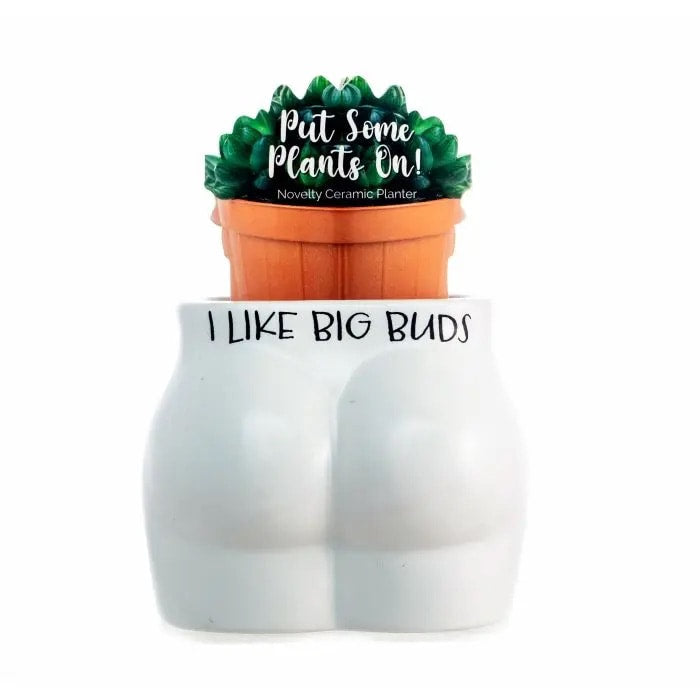 Put Some Plants On Novelty Ceramic Planter