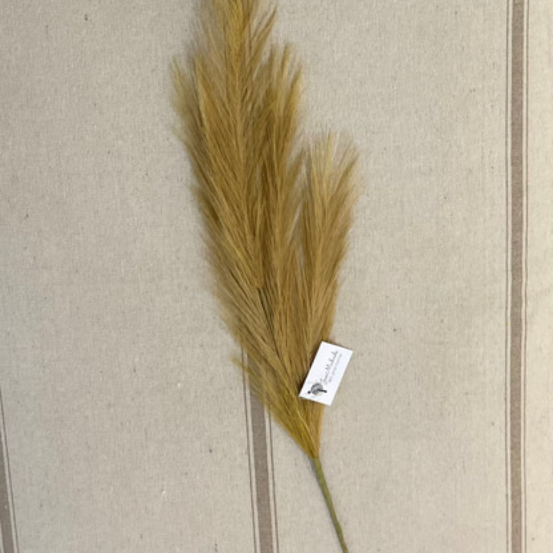 31.5 in Pampas Grass