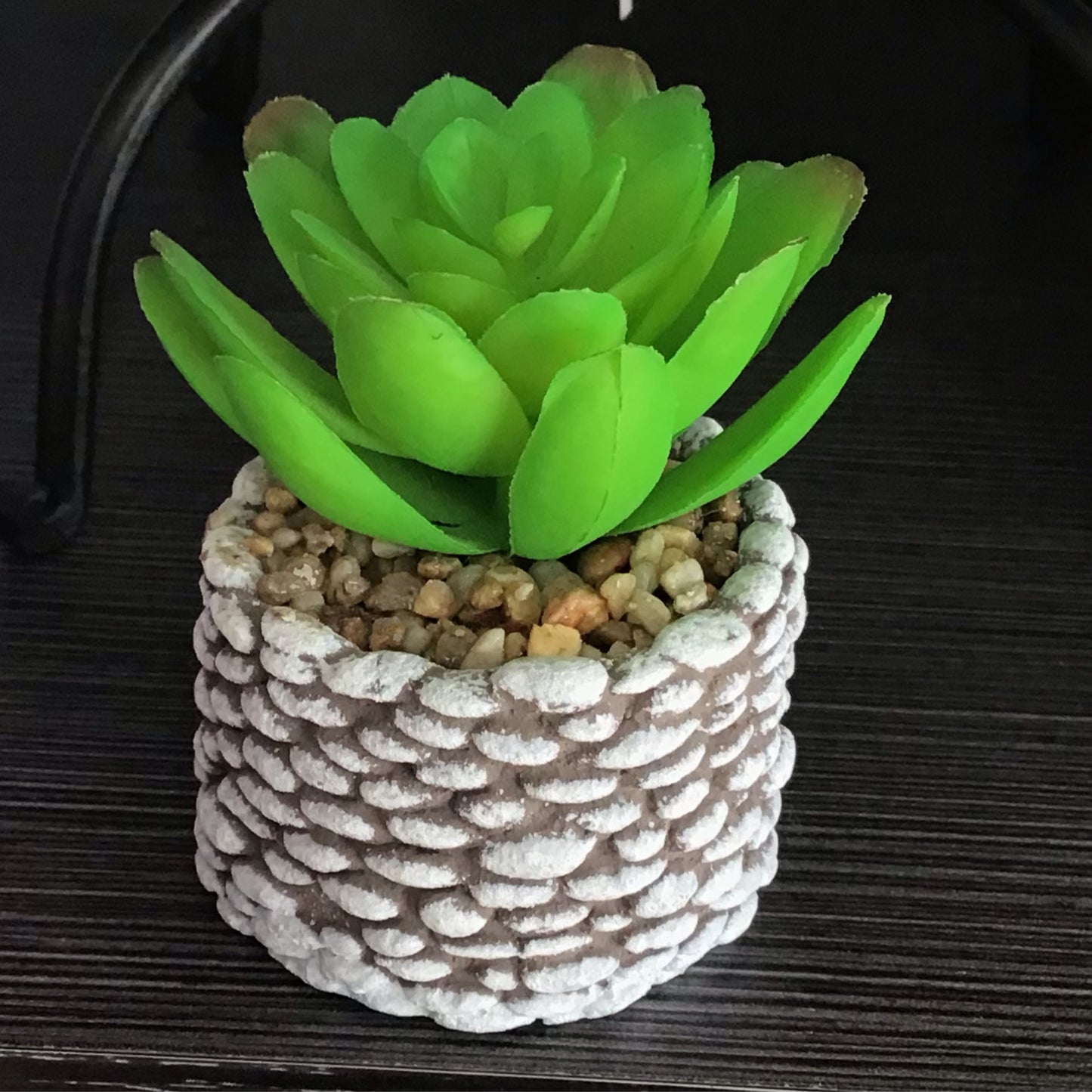 Assorted Succulent In Rock Pot