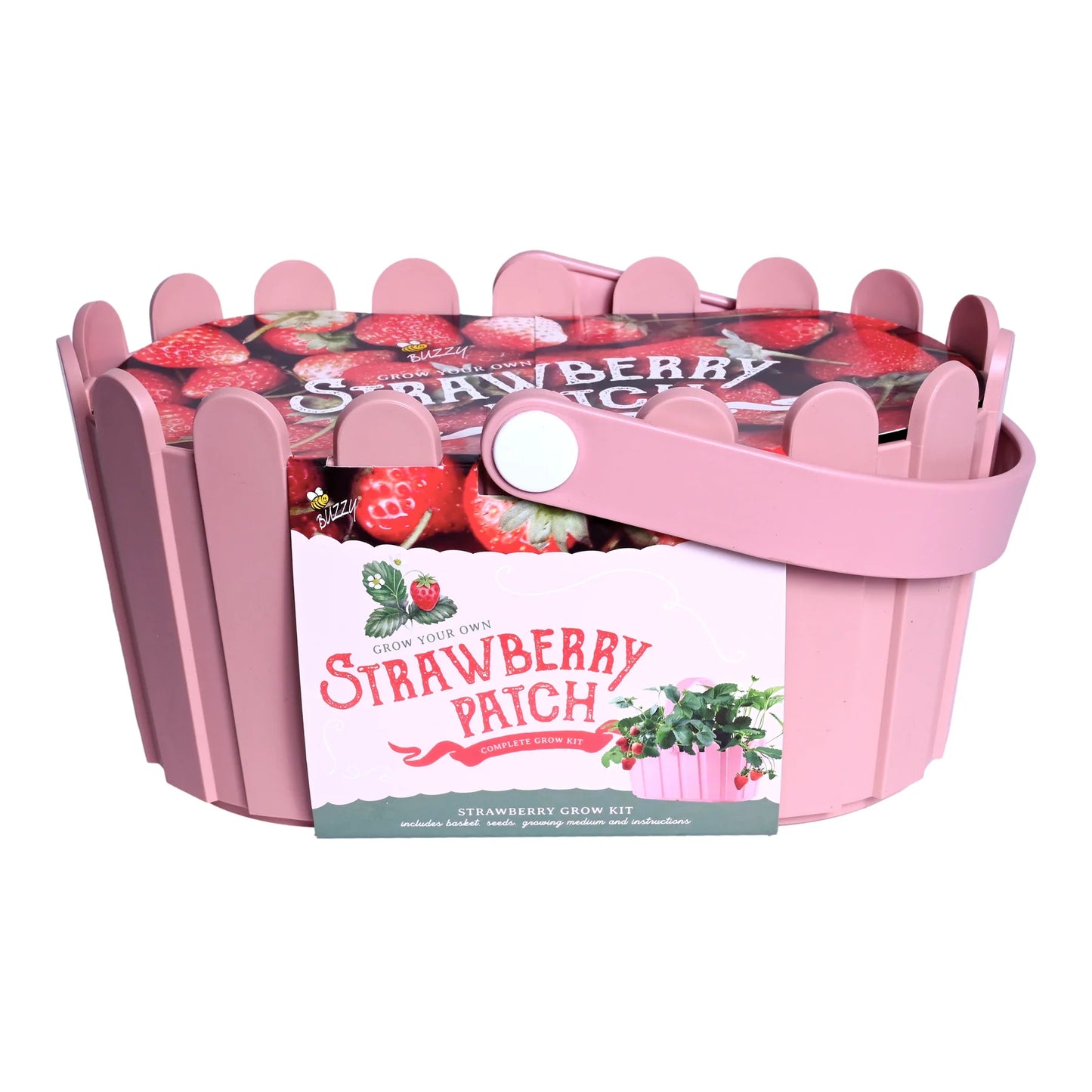 Buzzy Seeds Strawberry Patch Grow Kit