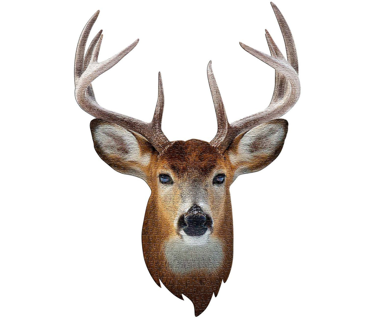 Madd Capp 550 Piece Jigsaw Puzzles- I Am Buck