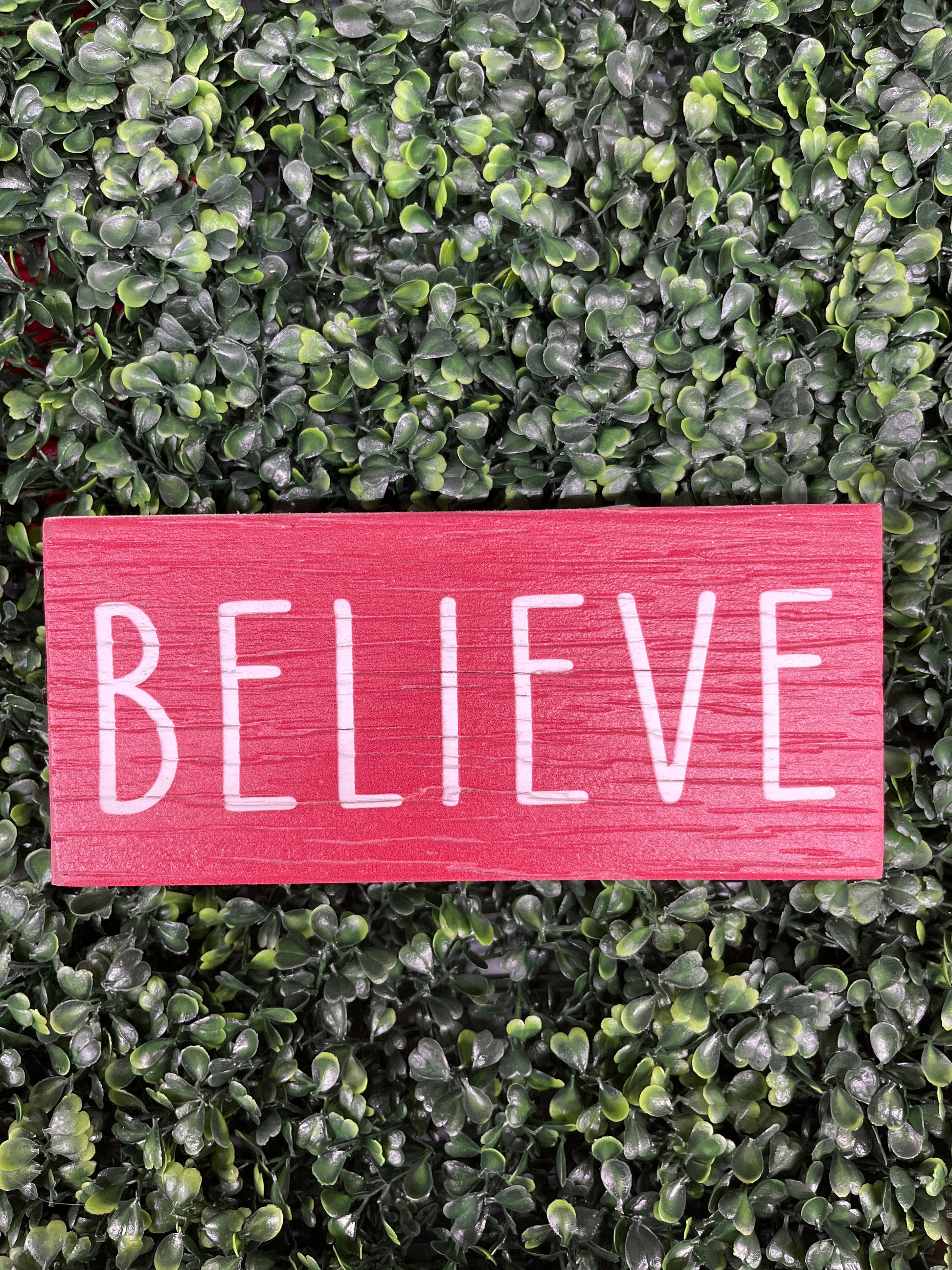 Red Wooden Believe Block