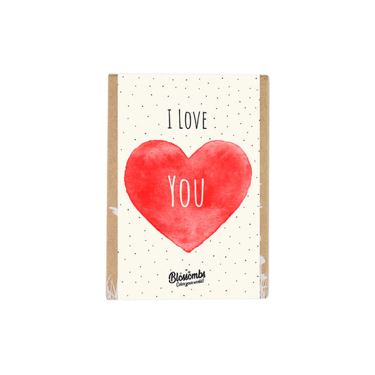Buzzy Seeds Wildflower Seed Ball Mini Gift Box | I Love You
