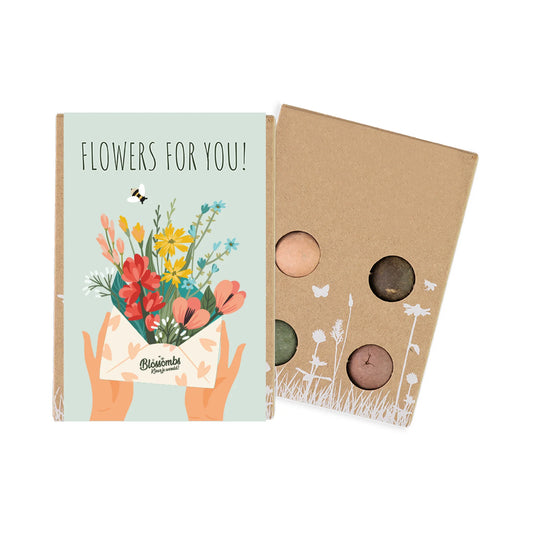 Buzzy Seeds Wildflower Seed Ball Mini Gift Box | Flowers For You