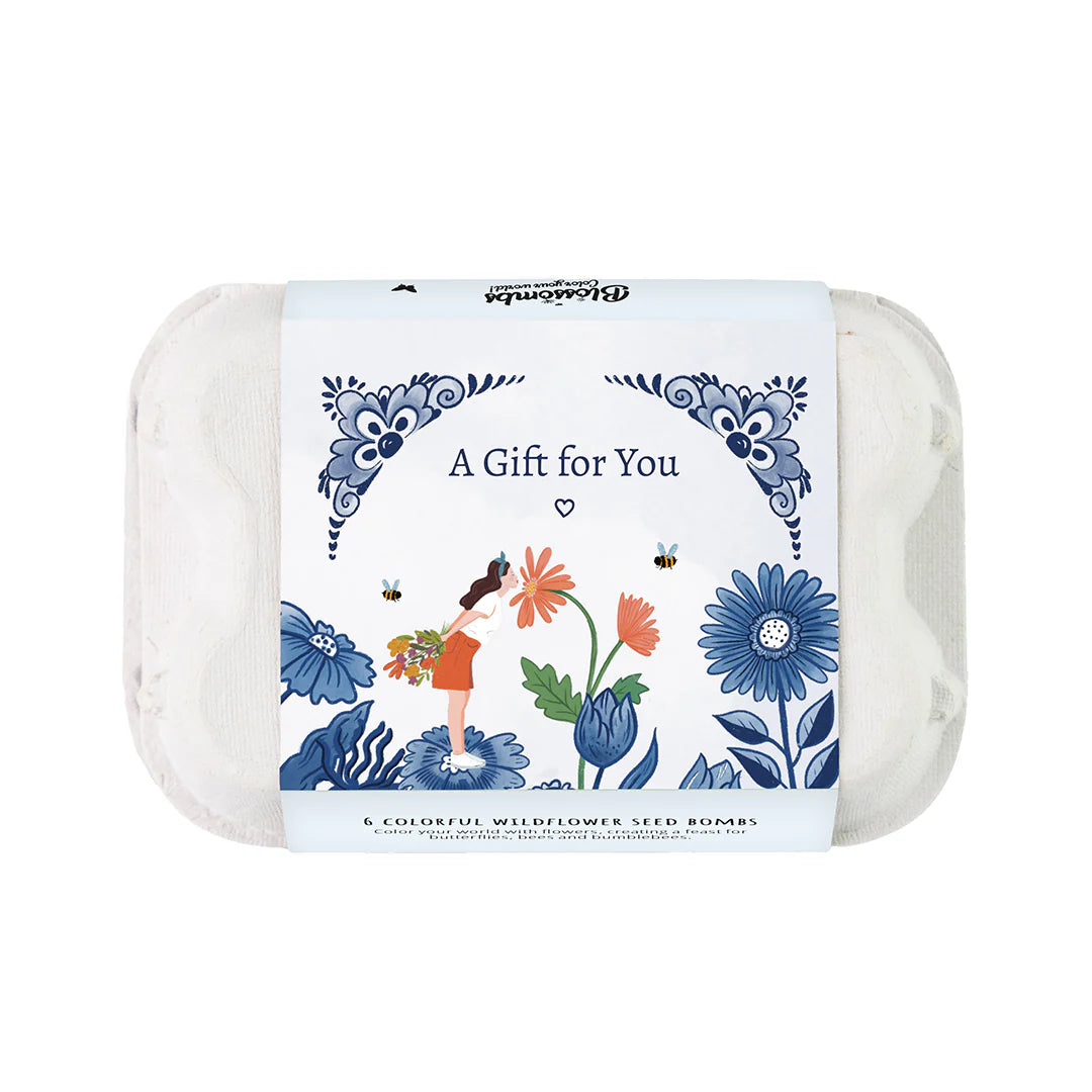 Buzzy Seeds Wildflower Seed Ball Gift Box 'A Gift For You' Mini Egg Carton