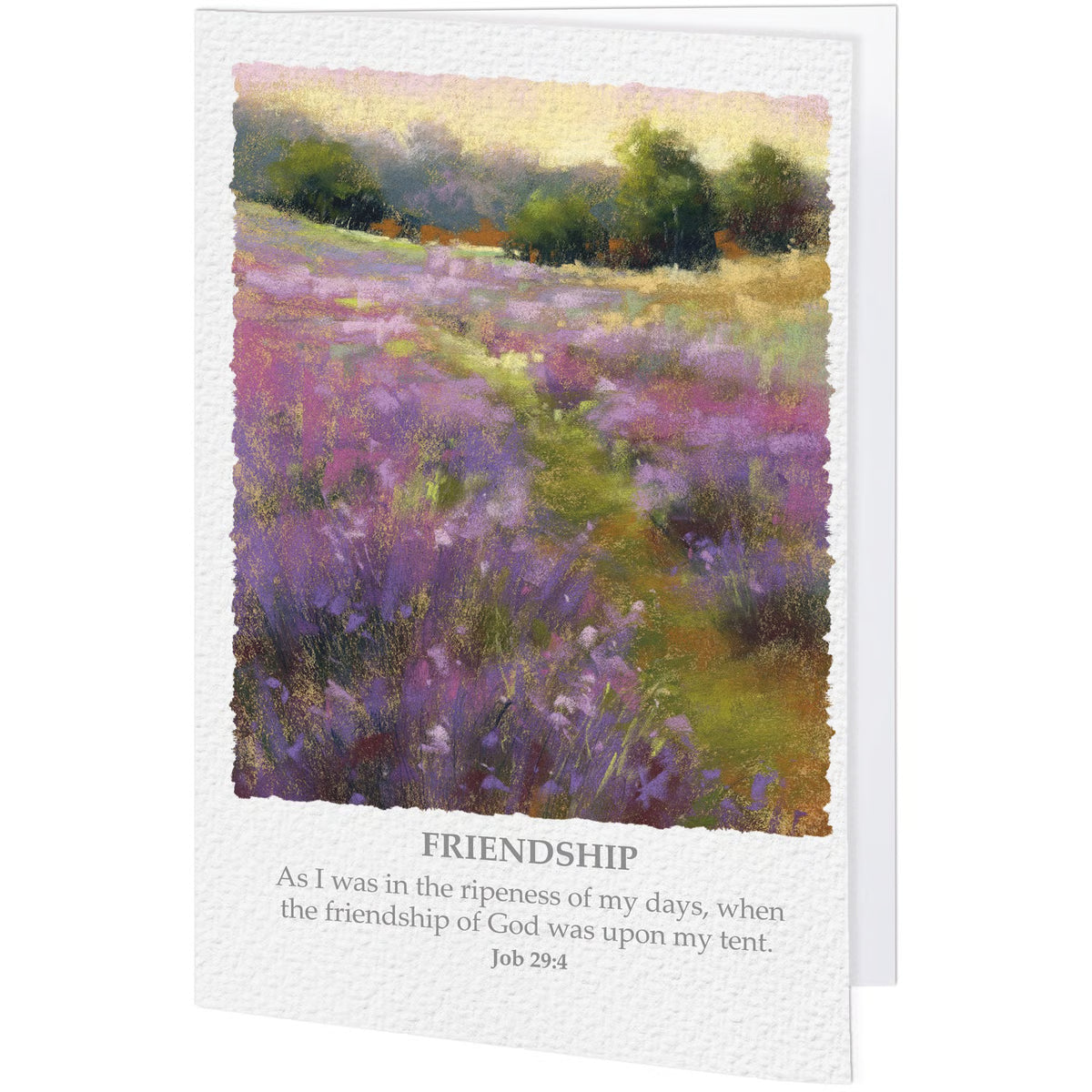 Friendship Greeting Card
