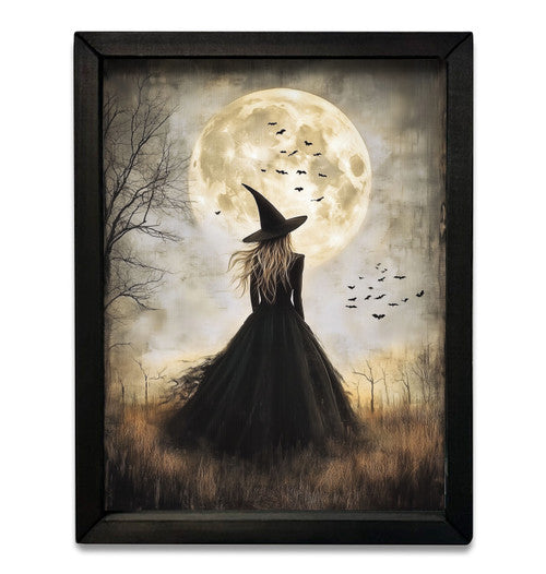 Enchanting Moon Witch Box Frame