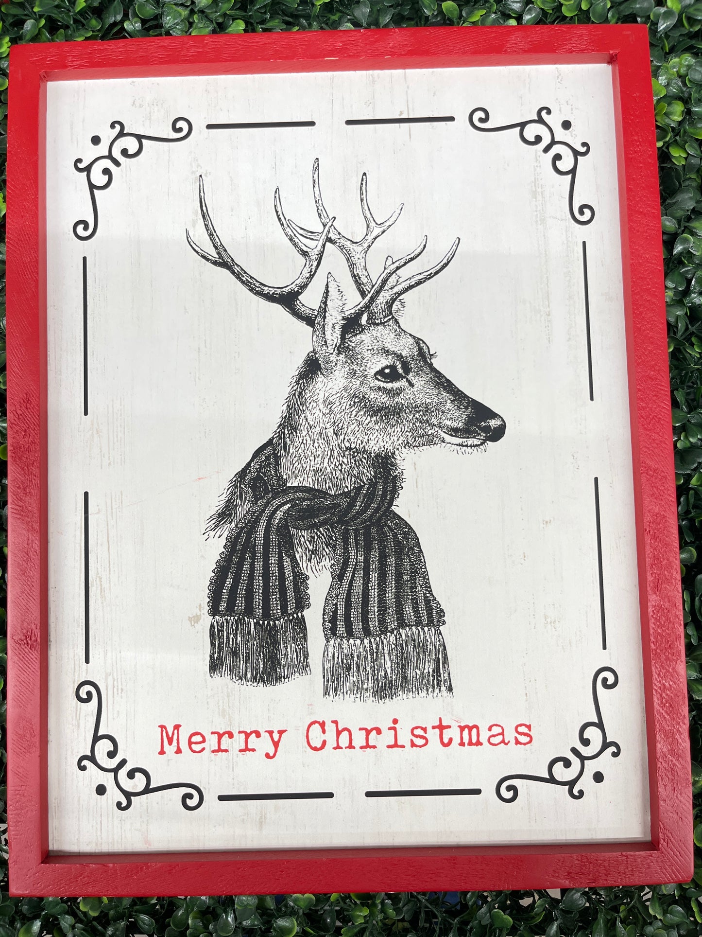 Red Framed Christmas Photos