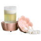 Candle Warmer- Petal 2-in-1 Classic Warmer