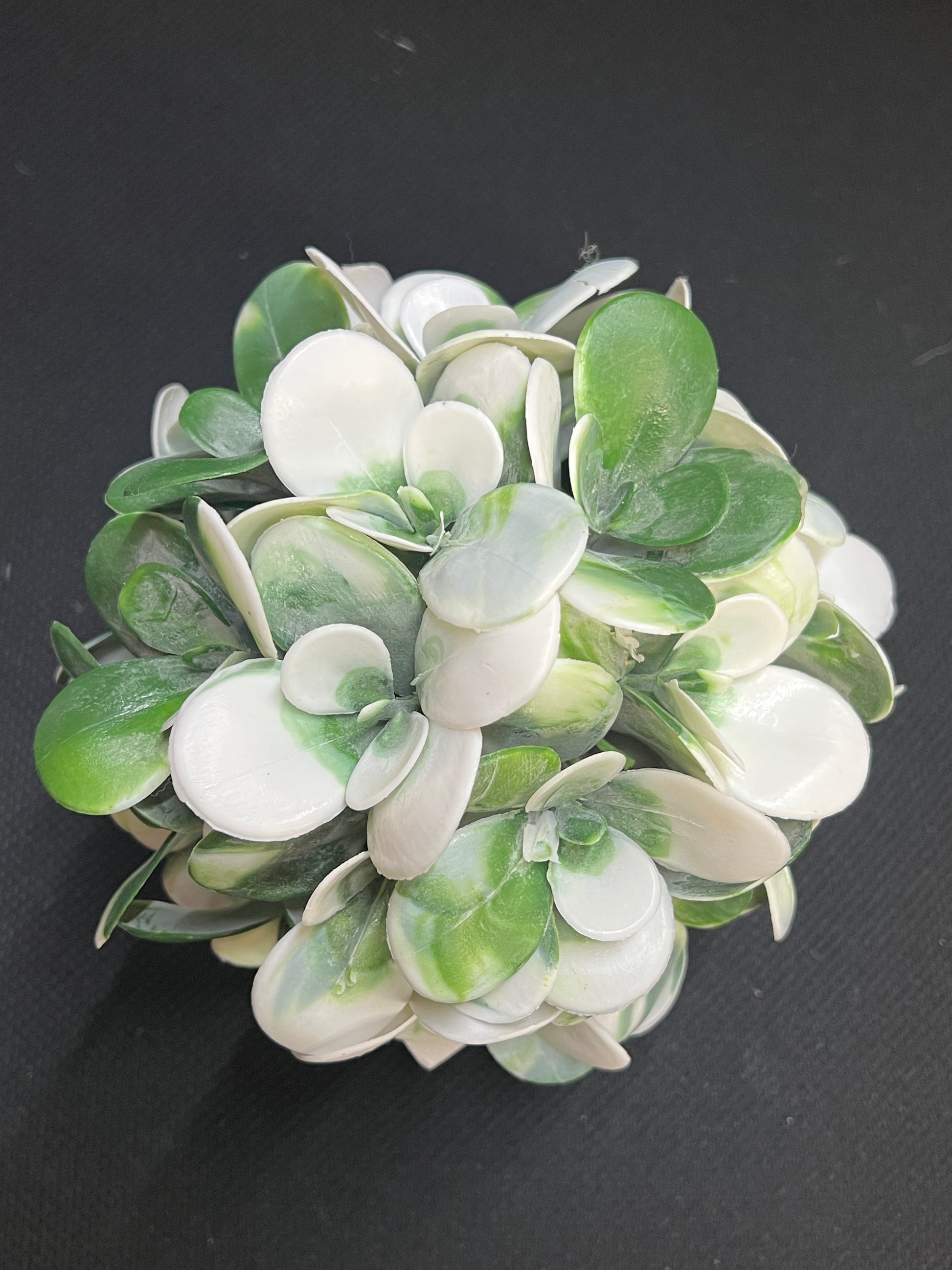 White Green Succulent Ball