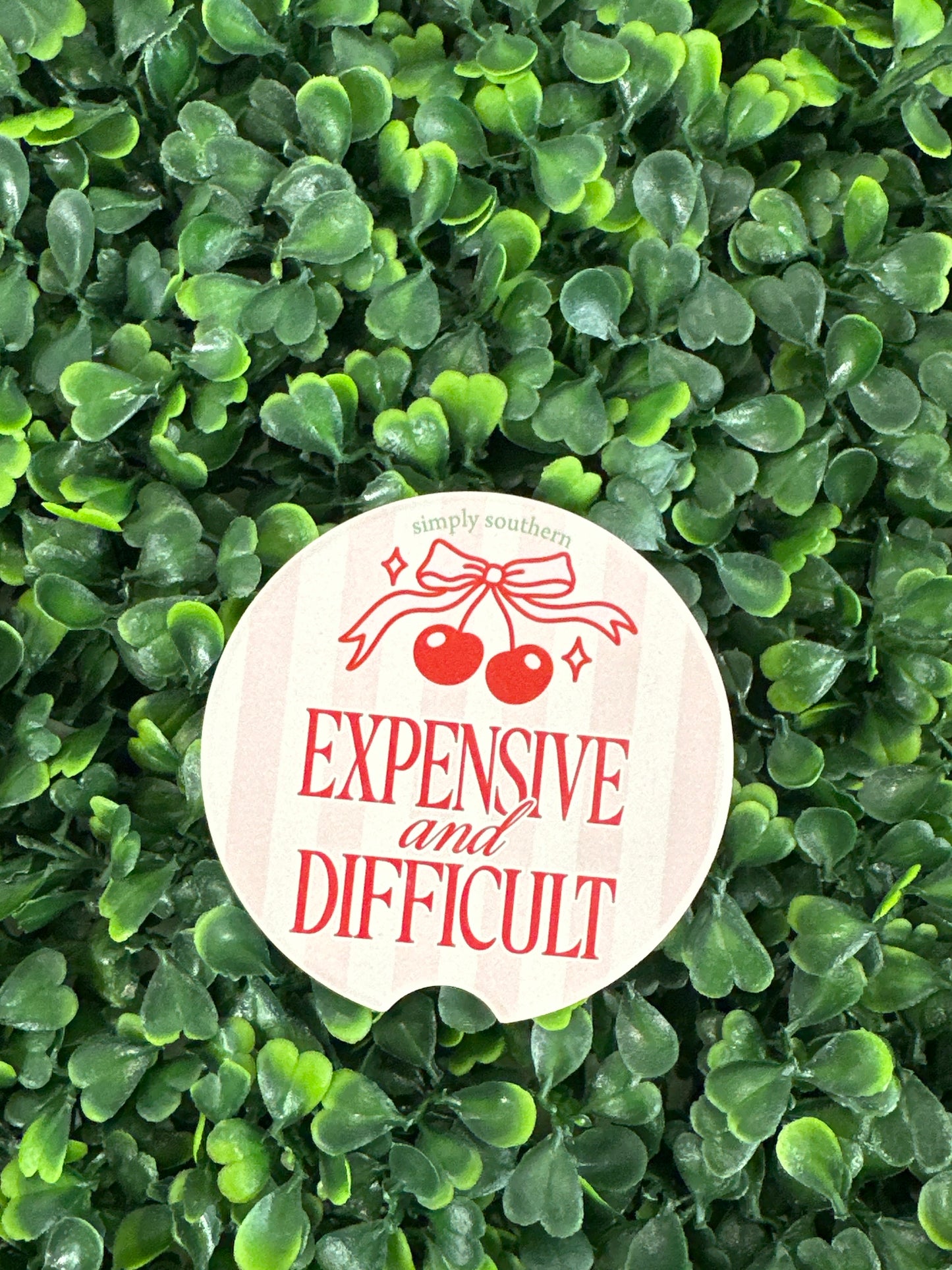 Simply Southern Car Coasters