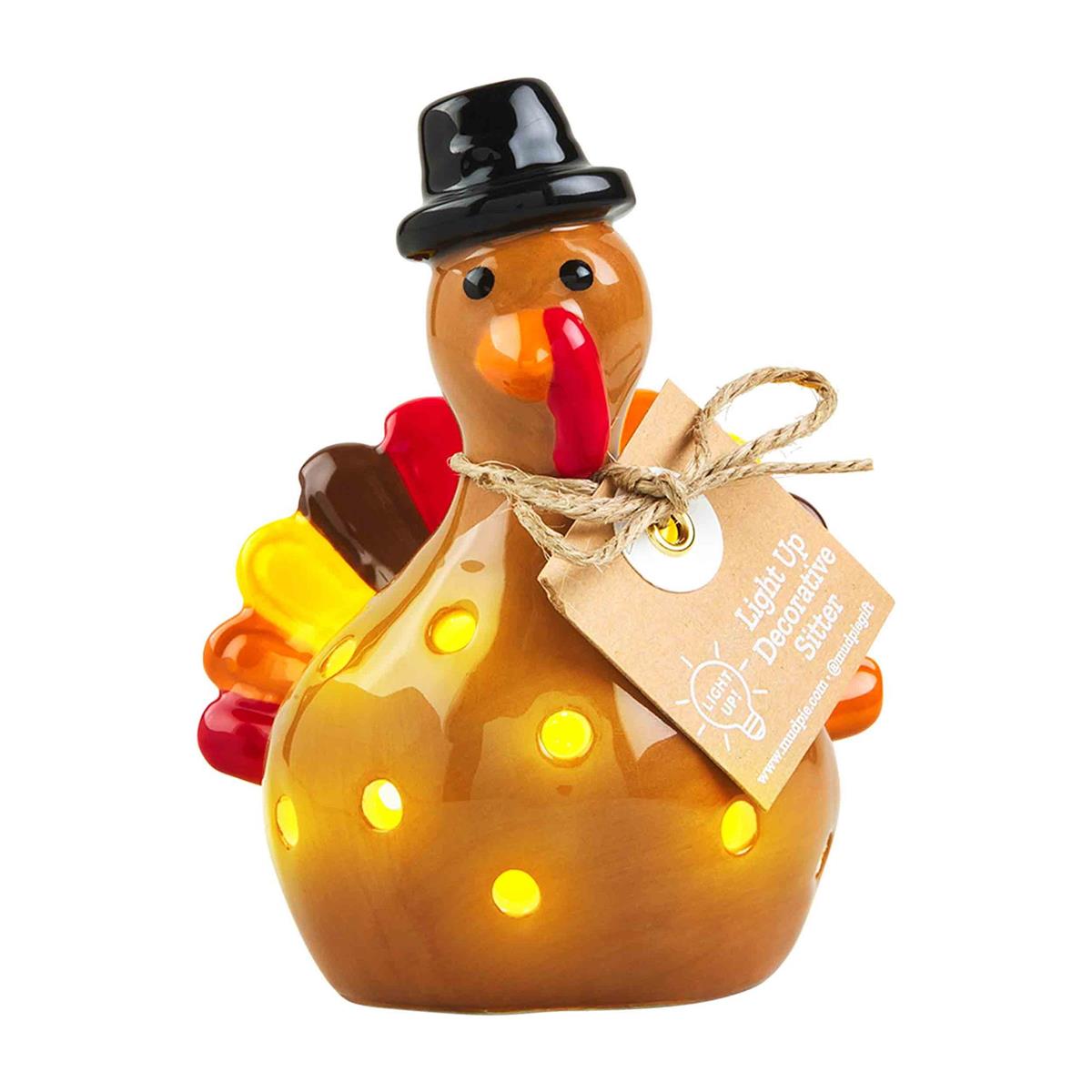 Turkey LED Light Up Sitter