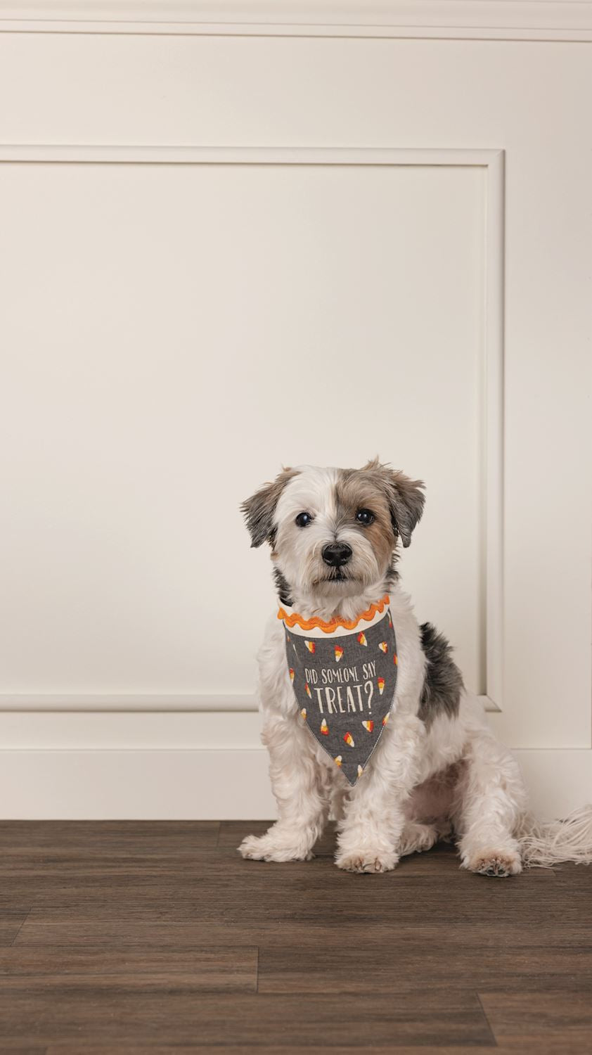 Mud Pie Reversible Dog Bandana