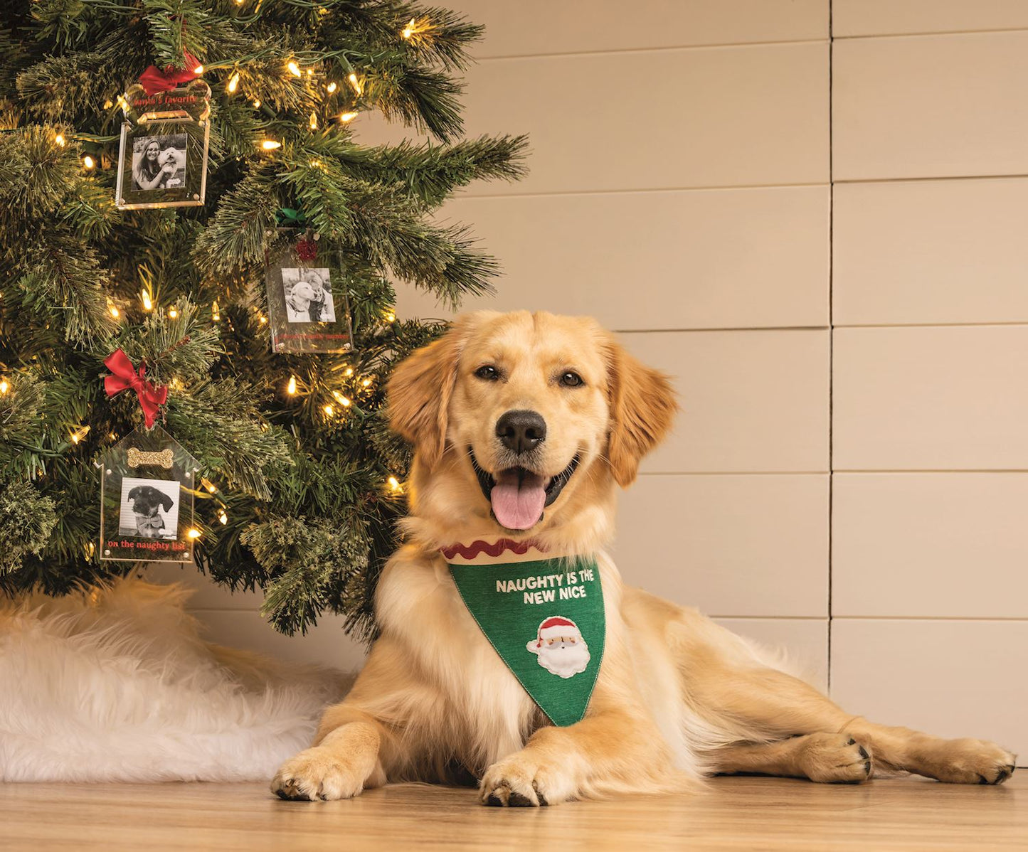 Mud Pie Reversible Dog Bandana