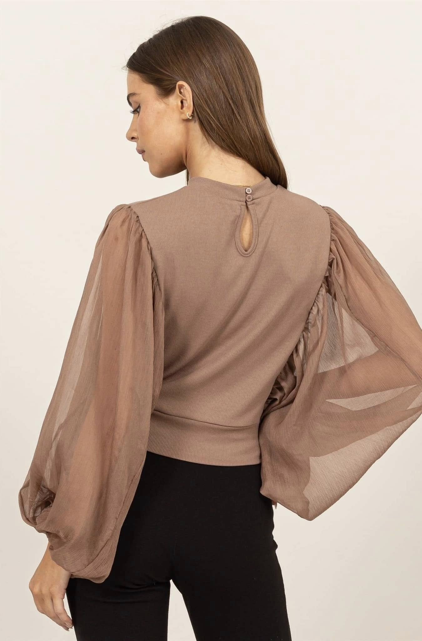 Sheer Sleeve Top With Back Button