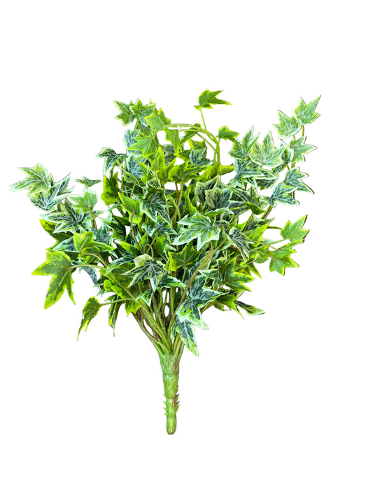13" Small Variegated Frosted Ivy Pick
