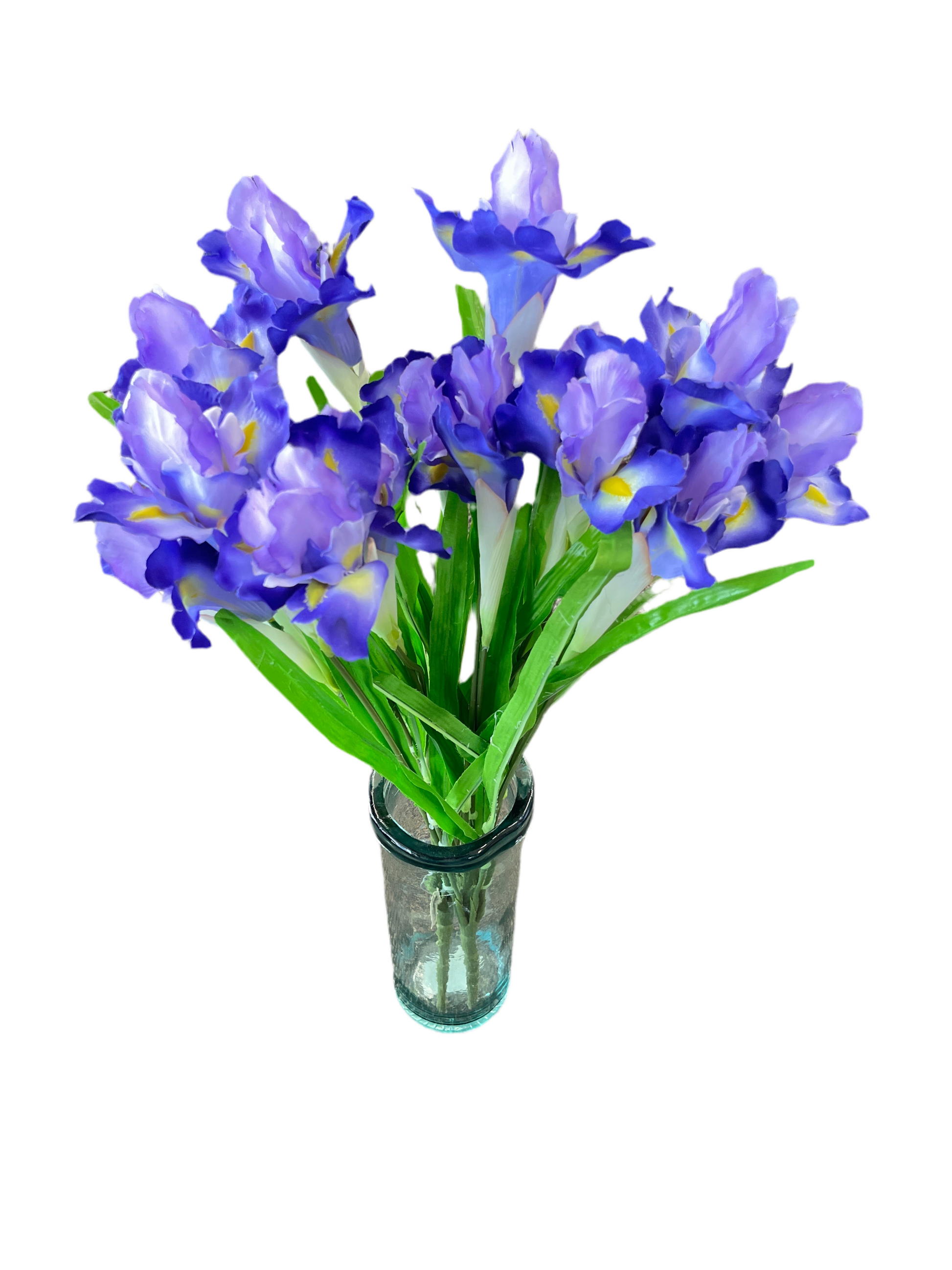 Purple 27" Iris Bush