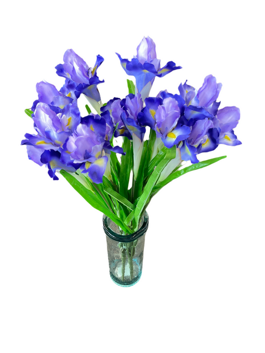 Purple 27" Iris Bush