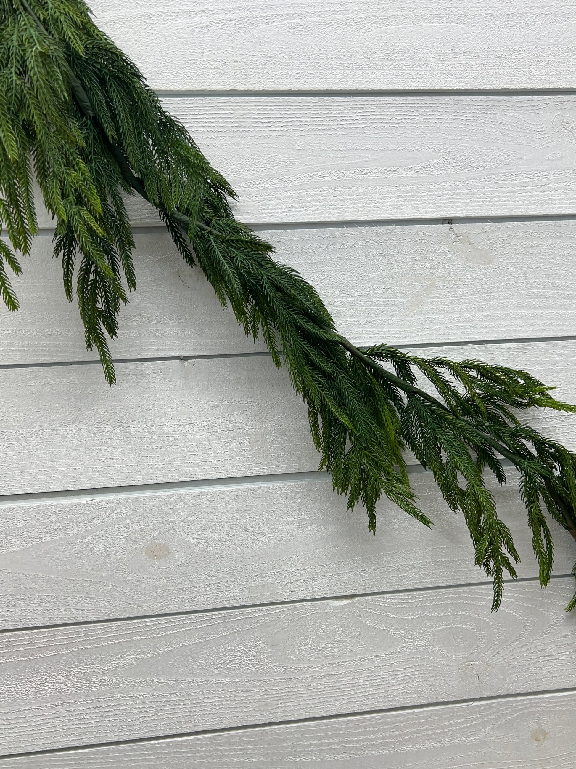 58" Natural Touch Norfolk Pine Garland