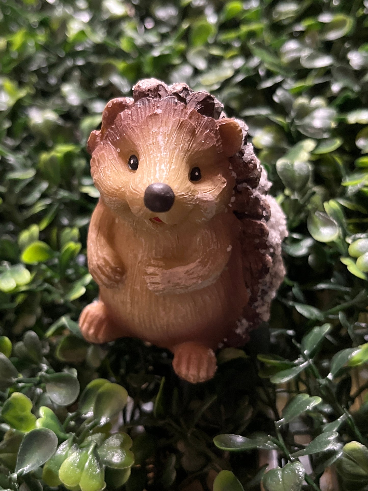Small Resin Snow Hedgehog 4 Assorted Styles